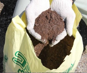 アペックスのコーヒー残渣を再利用した堆肥