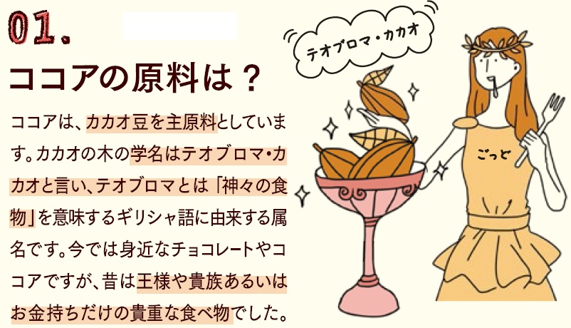 ココアは、カカオ豆を主原料としています。カカオの木の学名はテオブロマ・カカオと言い、テオブロマは「神々の食べ物」を意味するギリシャ語に由来する属名です。今では身近なチョコレートやココアですが、昔は王様や貴族あるいはお金持ちだけの貴重な食べ物でした。