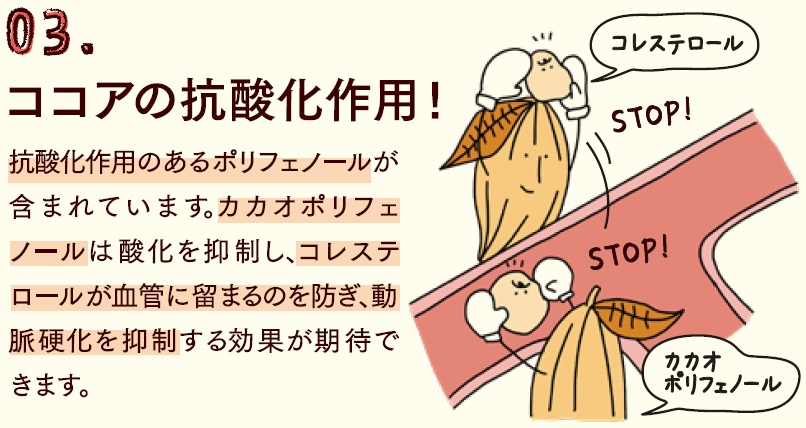 抗酸化作用のあるポリフェノールが含まれています。カカオポリフェノールは酸化を抑制し、コレステロールが血管に留まるのを防ぎ、動脈硬化を抑制する効果が期待できます。