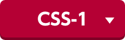 CSS-1