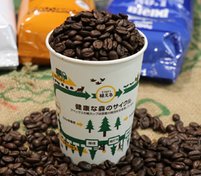間伐材を活用した紙カップ