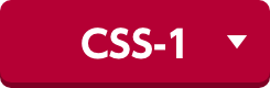 CSS-1