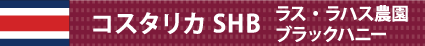 コスタリカSHB ラス・ラハス農園 ブラックハニー