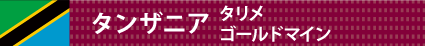 タンザニア タリメ ゴールドマイン